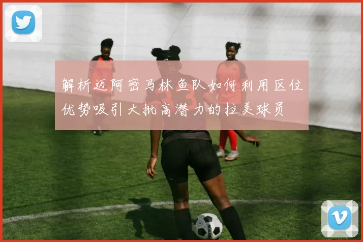 解析迈阿密马林鱼队如何利用区位优势吸引大批高潜力的拉美球员