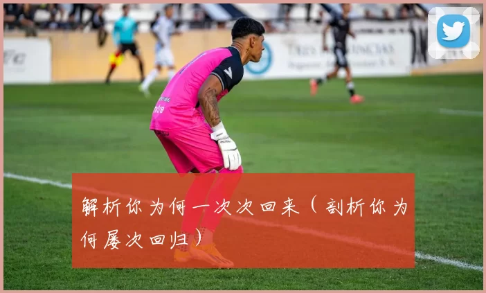 解析你为何一次次回来（剖析你为何屡次回归）