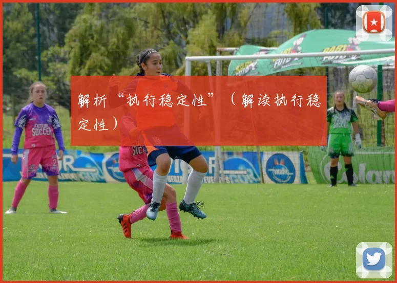 解析“执行稳定性”（解读执行稳定性）