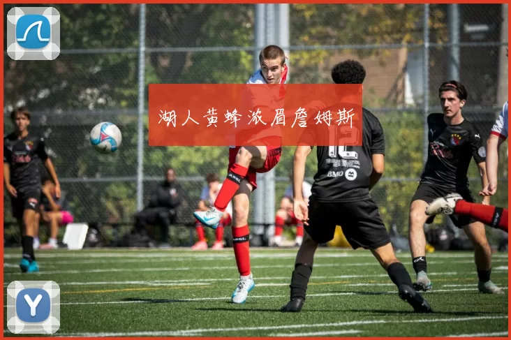 湖人黄蜂浓眉詹姆斯