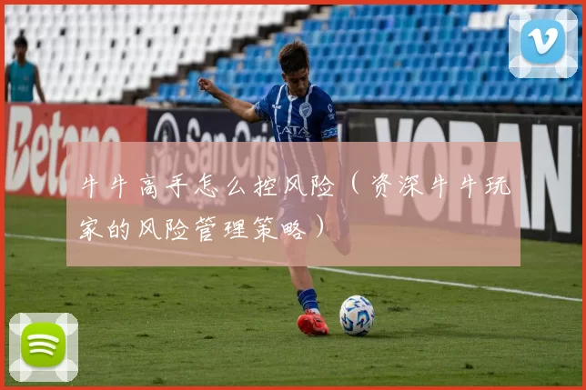 牛牛高手怎么控风险（资深牛牛玩家的风险管理策略）