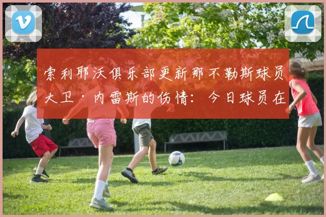 索利耶沃俱乐部更新那不勒斯球员大卫·内雷斯的伤情：今日球员在松树大道医院接受仪器检查，结果显示左脚踝扭伤程度较预期更轻，未出现结构性损伤。 来源：著名记者斯基拉