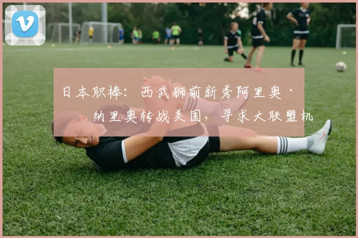 日本职棒：西武狮前新秀阿里奥·卡纳里奥转战美国，寻求大联盟机会