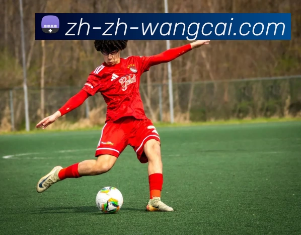 旺财28APP 封面图